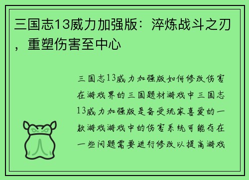 三国志13威力加强版：淬炼战斗之刃，重塑伤害至中心