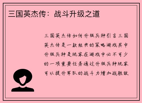 三国英杰传：战斗升级之道